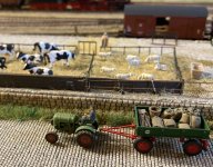 IMG_8390.jpeg