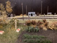 IMG_8410.jpeg