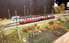 IMG_8767.jpeg