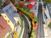 IMG_20251031_155707.jpg IMG_20251031_155707.jpg