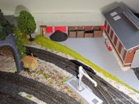 IMG_20251031_155814.jpg IMG_20251031_155814.jpg