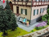 IMG_20251031_155912.jpg IMG_20251031_155912.jpg