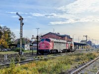 PXL_20251101_083145172~2.jpg PXL_20251101_083145172~2.jpg