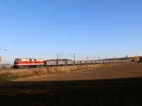 20251106_201753.jpg 20251106_201753.jpg