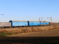 20251106_201954.jpg 20251106_201954.jpg