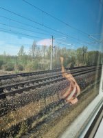 20250415_095900.jpg 20250415_095900.jpg