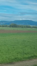 IMG-20250415-WA0084.jpeg IMG-20250415-WA0084.jpeg