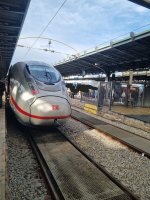 20250415_181942.jpg 20250415_181942.jpg