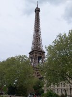 IMG-20250417-WA0005.jpg IMG-20250417-WA0005.jpg