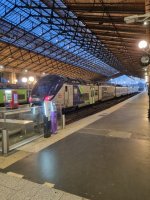 20250417_064002.jpg 20250417_064002.jpg