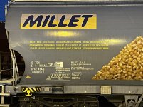 IMG_5123.jpeg IMG_5123.jpeg