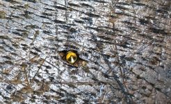 IMG_2784.JPG IMG_2784.JPG