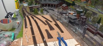 20251212_131252.jpg 20251212_131252.jpg