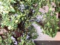 IMG_20251216_100602.jpg IMG_20251216_100602.jpg