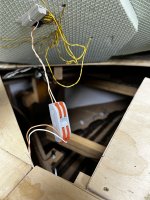 IMG_7964.jpeg IMG_7964.jpeg