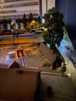 IMG_9340.jpeg IMG_9340.jpeg