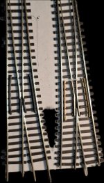 1000070370.jpg 1000070370.jpg