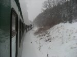 Sl372739.jpg