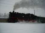 Sl372749.jpg