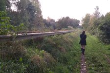 bahndamm.jpg