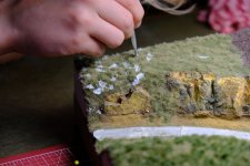 Gras-Lücken auf der Weide füllen