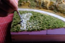 Vergleichstest, Leim für die 4,5mm-Begrasung links mit reichlich Leim, in der Mitte vorne mit spärlich Leim