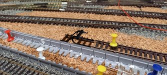 20260102_161607.jpg 20260102_161607.jpg