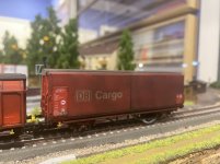 IMG_9534.jpeg IMG_9534.jpeg