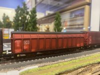 IMG_9533.jpeg IMG_9533.jpeg