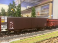 IMG_9532.jpeg IMG_9532.jpeg