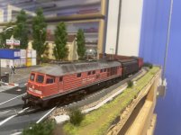 IMG_9529.jpeg IMG_9529.jpeg