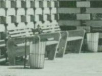 Stadtarchiv_BK 20604_Pestalozzipark_cutB.jpg