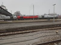 IMG_20251228_100919.jpg IMG_20251228_100919.jpg