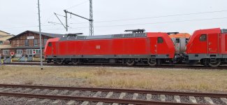 20260129_095724.jpg 20260129_095724.jpg