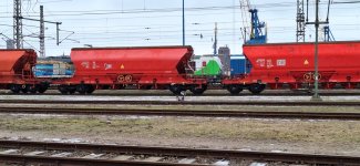 20260129_131216.jpg 20260129_131216.jpg