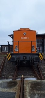 20260129_125029.jpg 20260129_125029.jpg