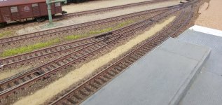 20260130_173137.jpg 20260130_173137.jpg