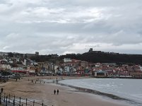 IMG_20260226_131231_515.jpg IMG_20260226_131231_515.jpg