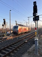 IMG_5459.jpeg