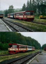 810 311 Korenov 2009.jpg