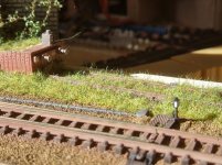 20260305_143605.jpg 20260305_143605.jpg