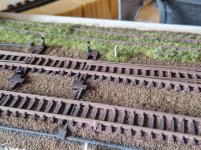 20260310_132631.jpg 20260310_132631.jpg