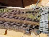 20260313_151003.jpg 20260313_151003.jpg