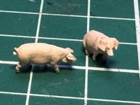 IMG_2218.jpeg IMG_2218.jpeg