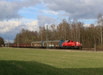 20260329_133239.jpg 20260329_133239.jpg