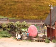 Monsterei im Garten (2).JPG