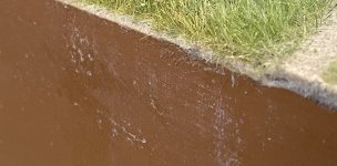 IMG_3217.jpeg