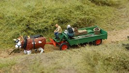 WhatsApp Image 2026-04-10 at 15.25.28.jpeg