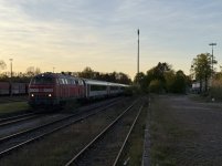 IMG_7333.jpeg