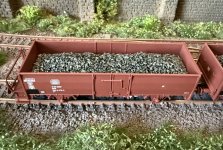 IMG_7593.jpeg